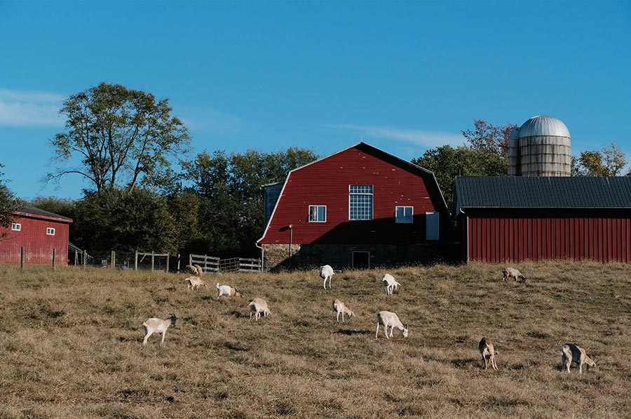 Baraka Farm LLC, Will County, Illinois