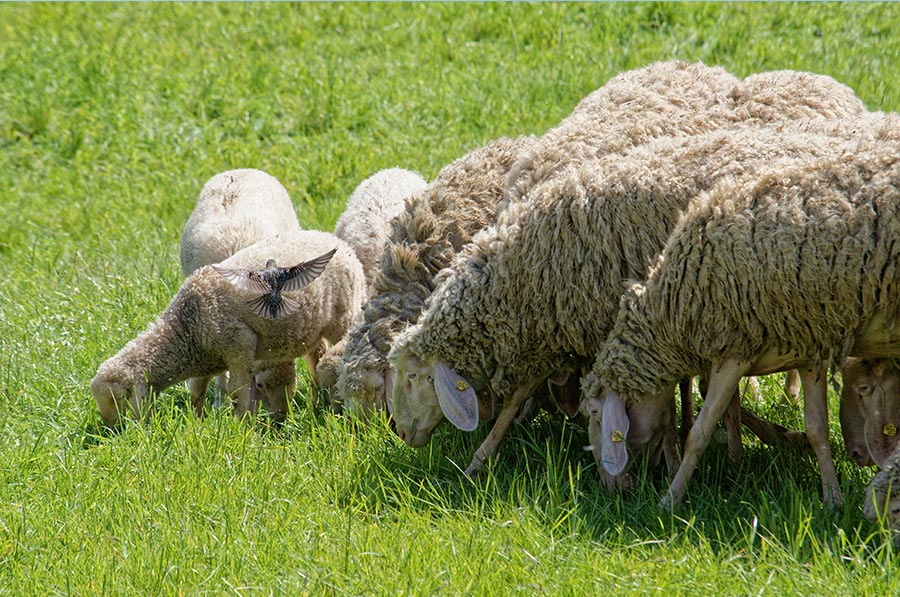 Looking Ahead: Our Plans for the Future