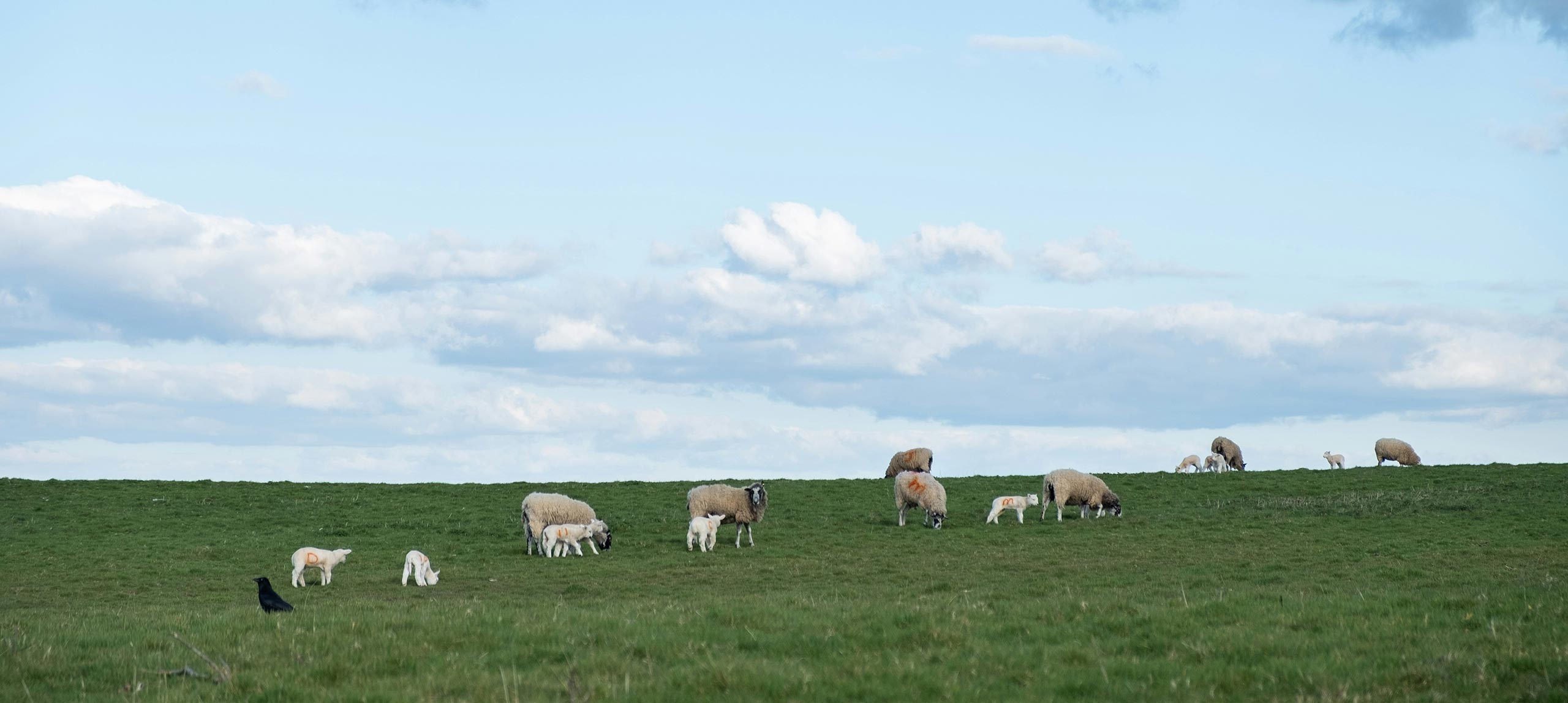 Baraka Farm LLC, Will County, Illinois