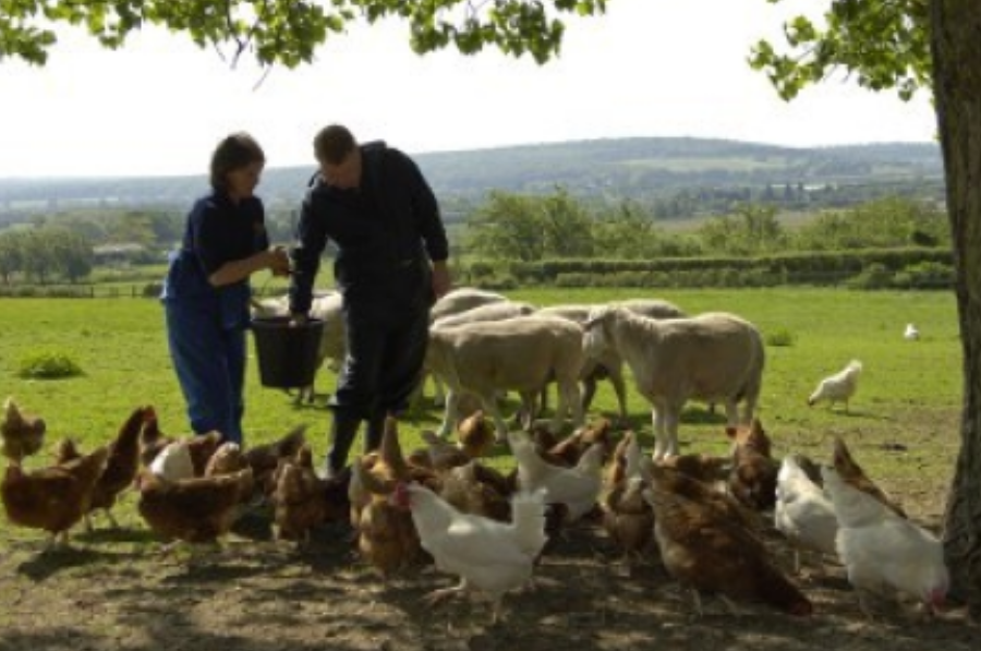 Untitled design – 2026-01-16T114851.378